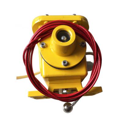 JYB-DQYC-Z撕裂控制箱耐腐蝕、JYB-GDZL-Z-A光電檢測縱向撕裂保護(hù)裝置生產(chǎn)